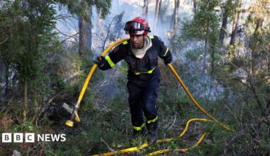 A firefighter holds a yellow hose over his shoulder as he walks through a burning forest area clouded with smoke.