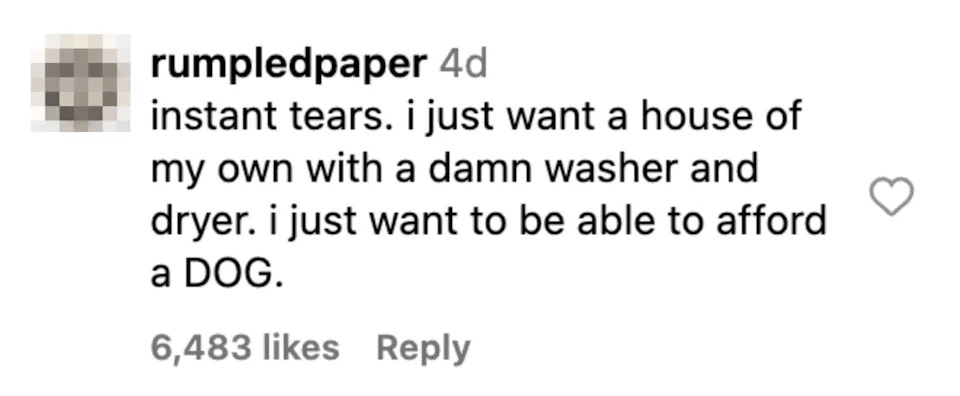 Instagram comment expressing desire for homeownership, laundry appliances, and affording a dog