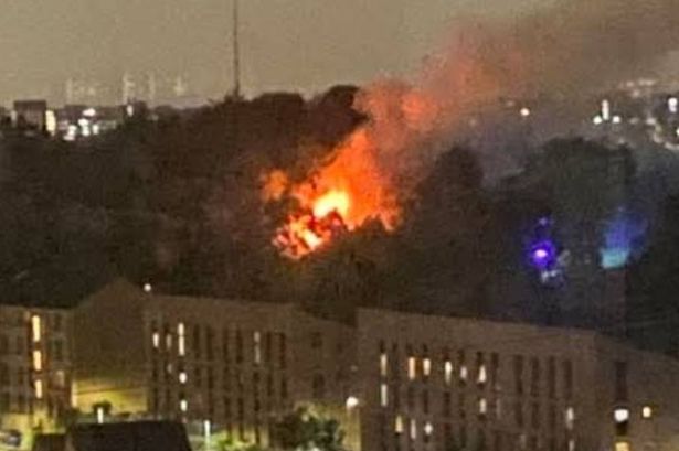 The fire broke out in a single-story building