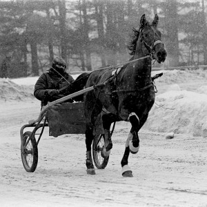 Valley News - A Look Back: How state-sanctioned gambling forced Mac’s Happy Acres to abandon horse racing