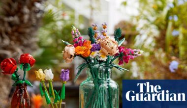 Lego builds record sales of £4bn as parents steer children away from smartphones | Lego