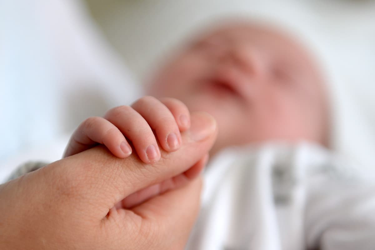 Full list of local fertility rates in England and Wales - London Evening Standard