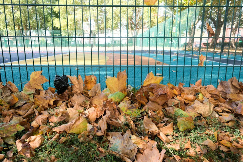 London, UK. 18th Aug 2025. UK Weather: Signs of early autumn, fallen leaves in north London.  Credit: Matthew Chattle/Alamy Live News