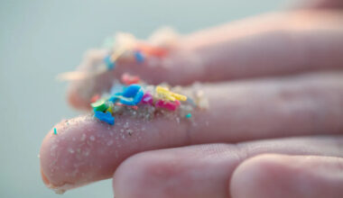 The two biggest sources of microplastic pollution are not bottles or straws
