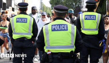 The backs of three police officers in green high viz uniform face carnival-goers walking towards them