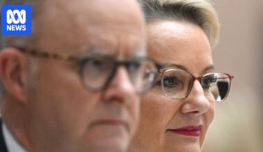 Labor and the Coalition have very different ideas about ties to the United States