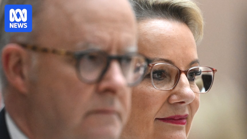 Labor and the Coalition have very different ideas about ties to the United States