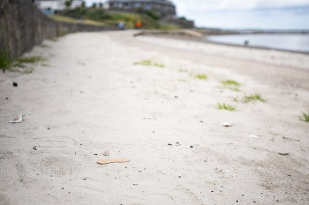 Millisle Beach: ‘Poison bait’ to be used at popular Co Down beach after rodents ‘infest’ shores