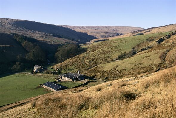 Isolated Valley Farm