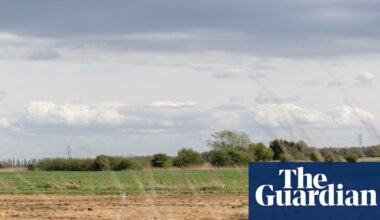 Nature loss will cut UK GDP by 5% without action from private sector, say experts | Conservation