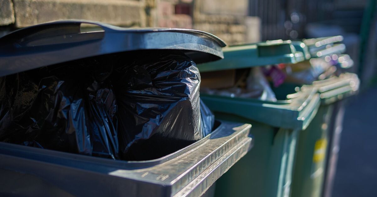 Bin smart meter could be brought in to charge Brits for how much they throw away | UK | News