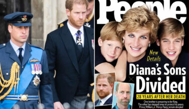 Princess Diana 'Would Have Tried to Act as Peacemaker' (Exclusive)