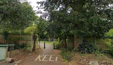 Four men arrested after teenage girl 'drugged and raped' in London park | UK | News