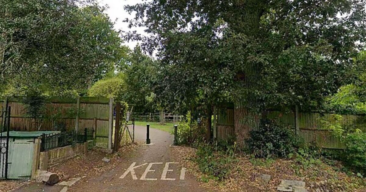 Four men arrested after teenage girl 'drugged and raped' in London park | UK | News