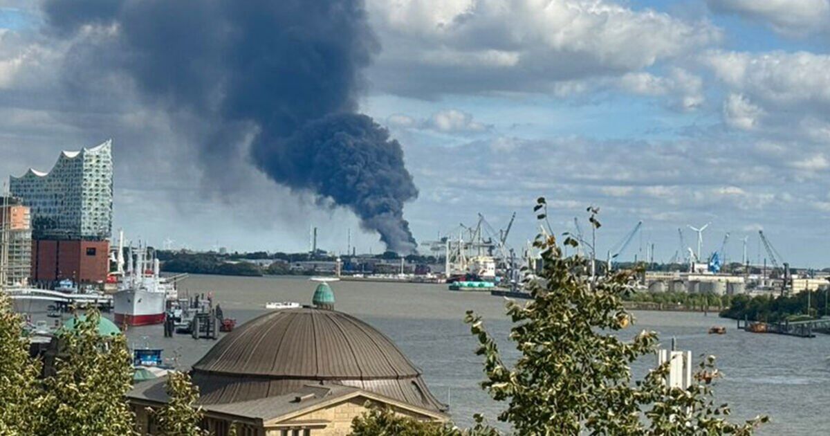 Hamburg explosion LIVE: Huge fireball rips through port city as smoke seen for miles | World | News
