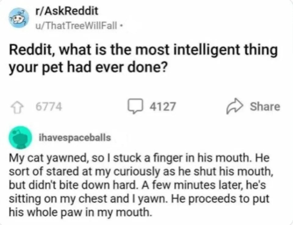Reddit post: User asks about intelligent pet actions. A comment recounts a clever interaction with a cat mimicking its owner's actions