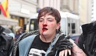 Ambassador raises concerns with German authorities after Irish protester assaulted by police – The Irish Times