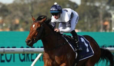 Tommy Berry confident Raging Force can prove Golden Rose credentials in San Domenico Stakes