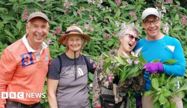 Two men and two women standing in front of a huge hedge of Himalayan balsam. They are all laughing as one of the men holds up a large bunch of the plant to one of the women.