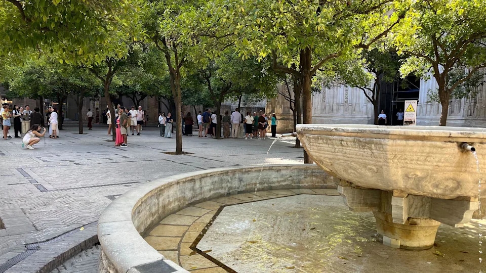 A fountain is in front of a number of trees