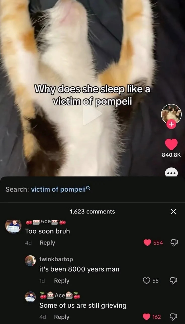 A cat lies on its back with text overlay: "Why does she sleep like a victim of Pompeii?" Comments joke it's too soon and that some are still grieving