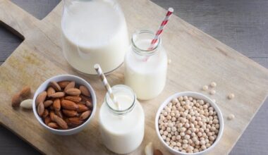 Plant-Based Beverages Market Size to Surpass USD 62.1 Billion by 2033 Amid Rising Demand for Dairy Alternatives