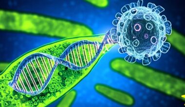 Giant Dormant Virus Found in Algae Could Revolutionize Genetics
