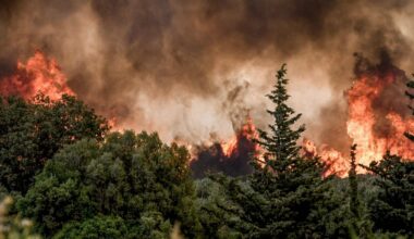 Wildfire damage in EU quadruples to nearly 900,000 hectares from last year