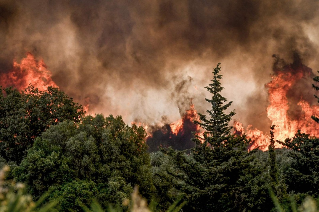 Wildfire damage in EU quadruples to nearly 900,000 hectares from last year