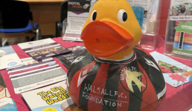 Council supports totally quackers duck trail in Walsall