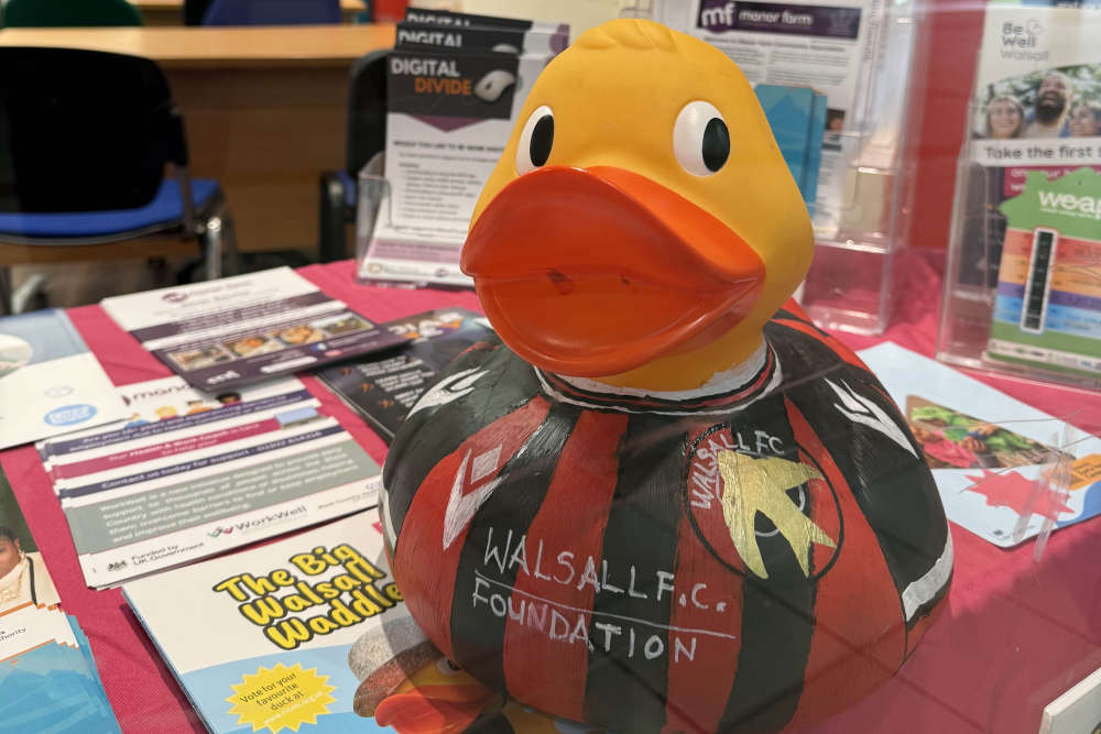 Council supports totally quackers duck trail in Walsall