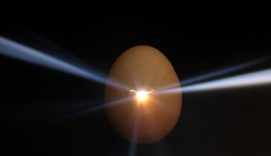 Plant-based eggs market to hit $834m by 2035 amid ethical eating boom