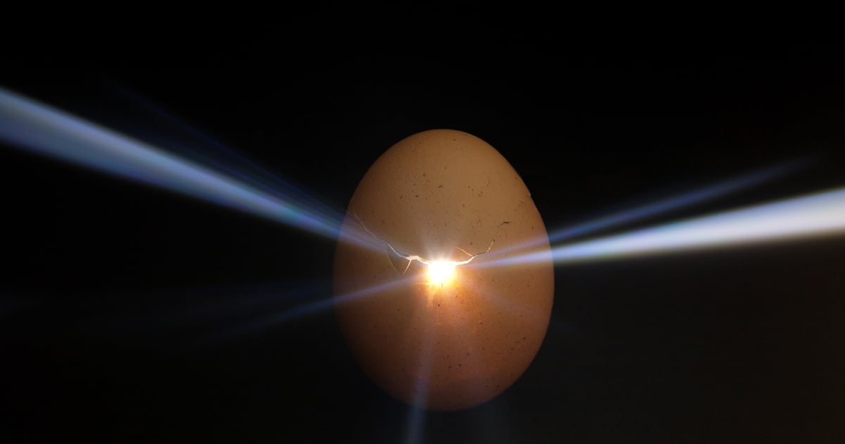 Plant-based eggs market to hit $834m by 2035 amid ethical eating boom