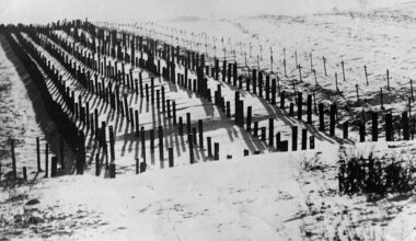 The greatest military folly of modern times
