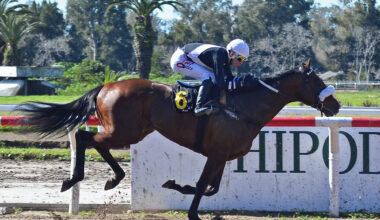 Look Portal Solid at La Plata Distance, Eyes Dardo Rocha