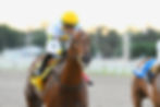 Lagoa Azul drops into a more manageable spot and rates as the one to beat / JUAN I. BOZZELLO