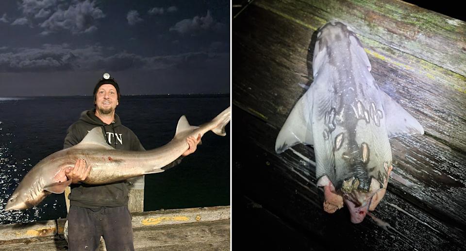 The seasoned fisherman regularly hunts for sharks, but the half-eaten creature with visible teeth marks in its skin left him stumped. Source: Vlad Ilz