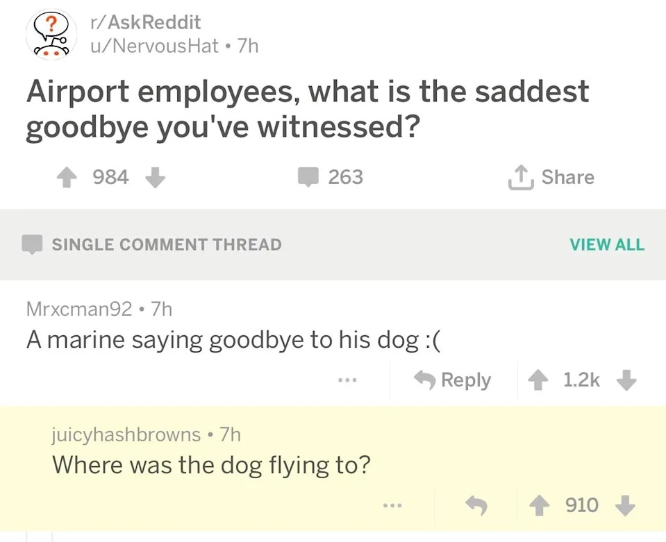 Reddit post with a user asking about sad airport goodbyes; comment mentions a marine parting with his dog, followed by a humorous reply asking the dog's destination