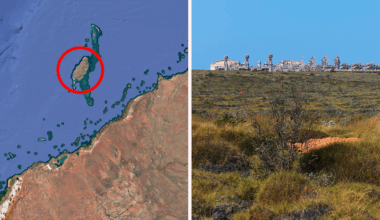 Incredible predator discovery inside remote Aussie island cave with no public access