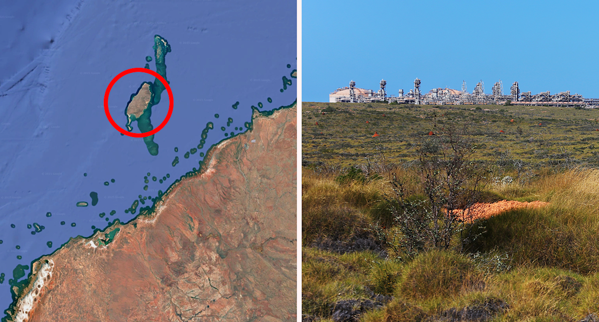 Incredible predator discovery inside remote Aussie island cave with no public access
