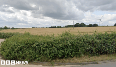 Land off Heath Road in Bagworth, Leicestershire, with shrubs in the forefront at the roadside and trees and a wind turbine in the distance on a dry cloudy day.