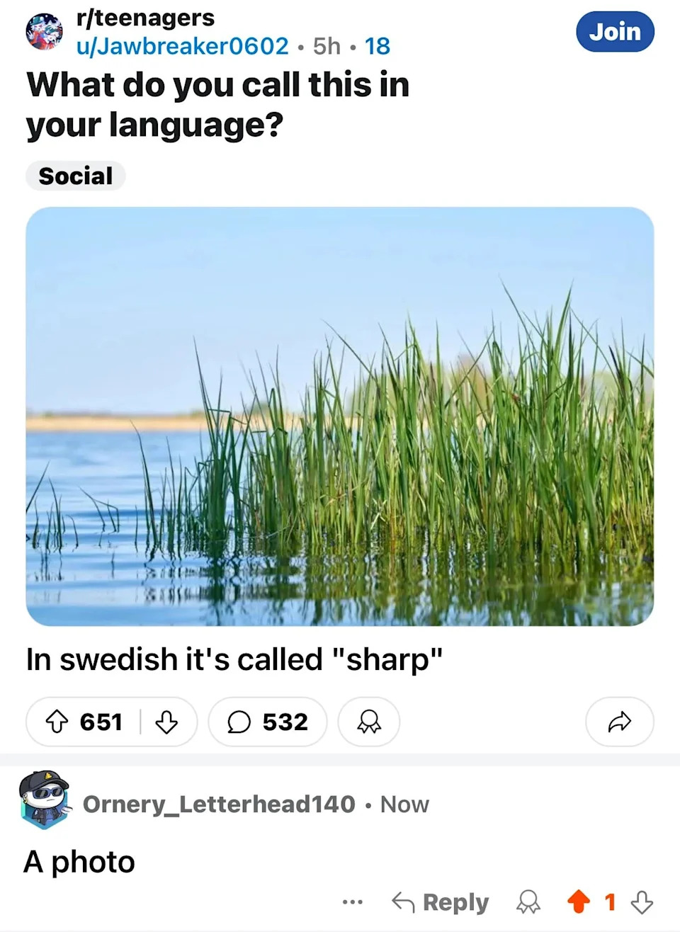 Social media post showing a water scene with grass, asking for its name in different languages. A comment humorously replies, "A photo."