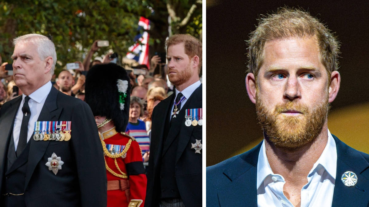 Prince Harry denies 'punches thrown' in 2013 fight with Prince Andrew and 'sends legal...