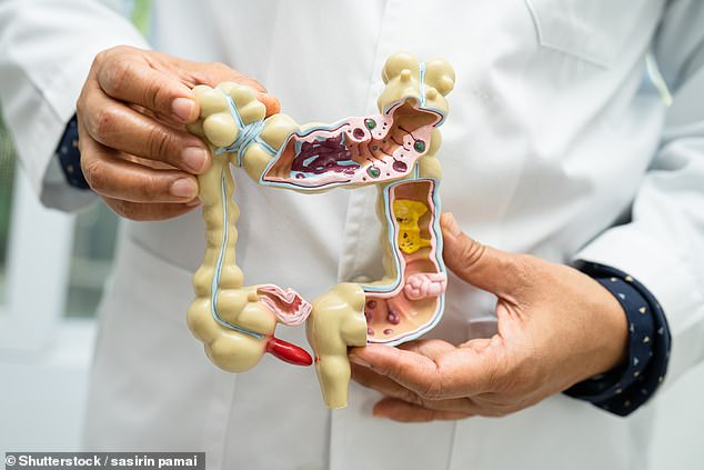 Removing high FODMAP foods can give your gut lining a chance to repair itself and restore a healthy balance of beneficial bacteria, easing symptoms of IBS