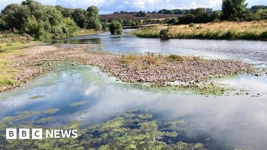Drought declared for parts of Wales after record six months