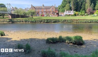 A river, next to a dry embankment with shrubs growing out of it