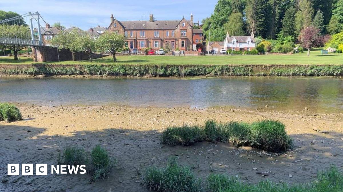 A river, next to a dry embankment with shrubs growing out of it