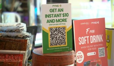 Sydney startup Pyng pushes fee-free QR payments as RBA moves to scrap surcharges - but experts warn of hidden risks
