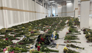 Rows of hundreds of bouquets of flowers laid out on the concrete floor of a warehouse.
