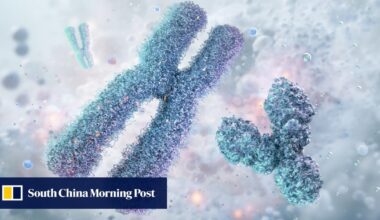 Will China’s new chromosome editing tool unlock new wave of genetic advances?